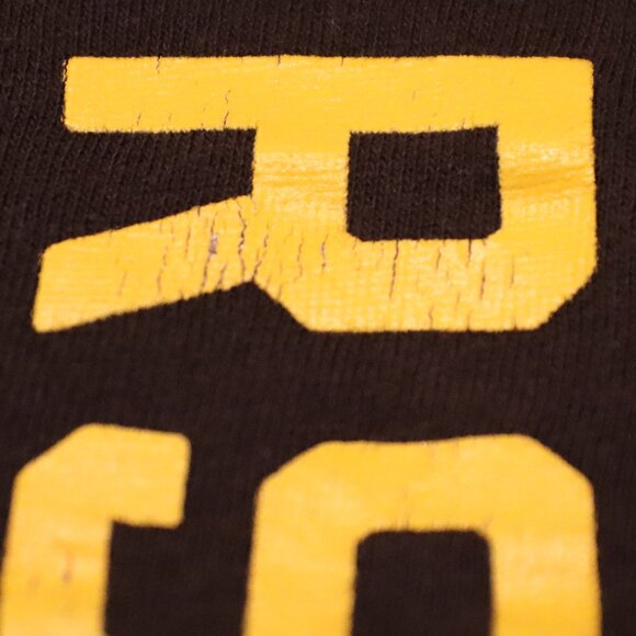 Pittsburg Steelers Delta Pro Weight Medium Short Sleeve Tee NFL Fandom Casual - Picture 7 of 13